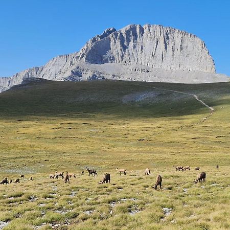 Αθηνα A7 Διαμέρισμα Κατερίνη Εξωτερικό φωτογραφία